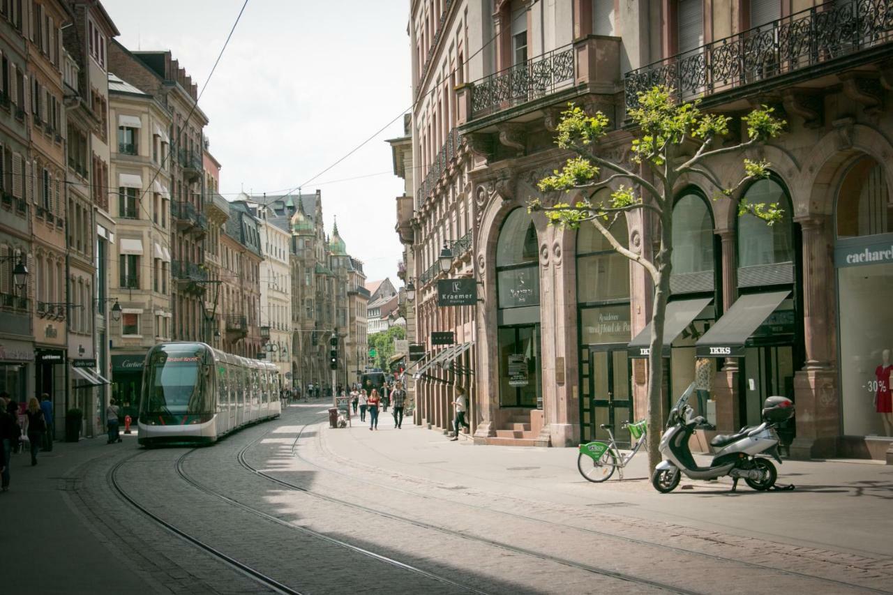 La Mésange Appartement Strasbourg
